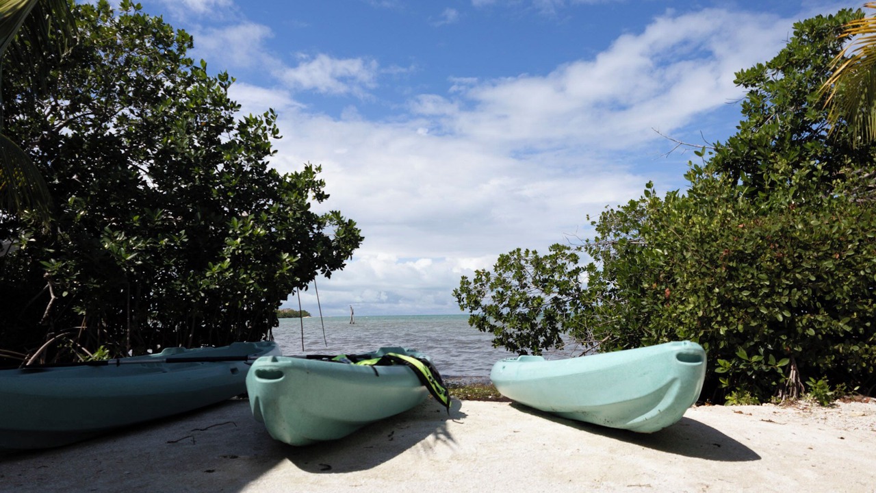 Photo of Others in Caye Caulker