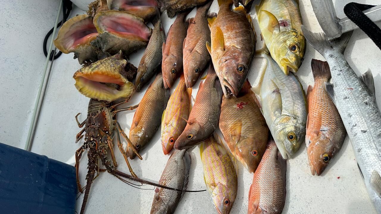 Photo of Others in San Pedro