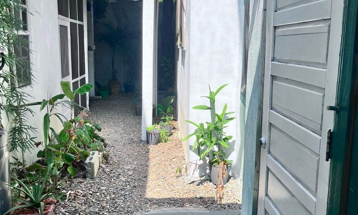 Photo of Outdoor in Placencia