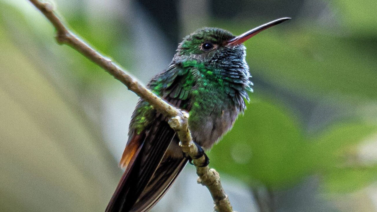 Photo of Outdoor in Belmopan