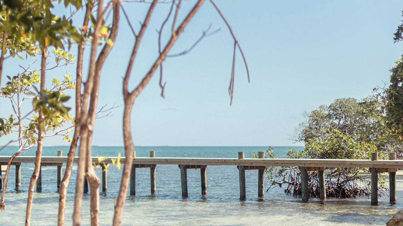 Photo of Others in Placencia