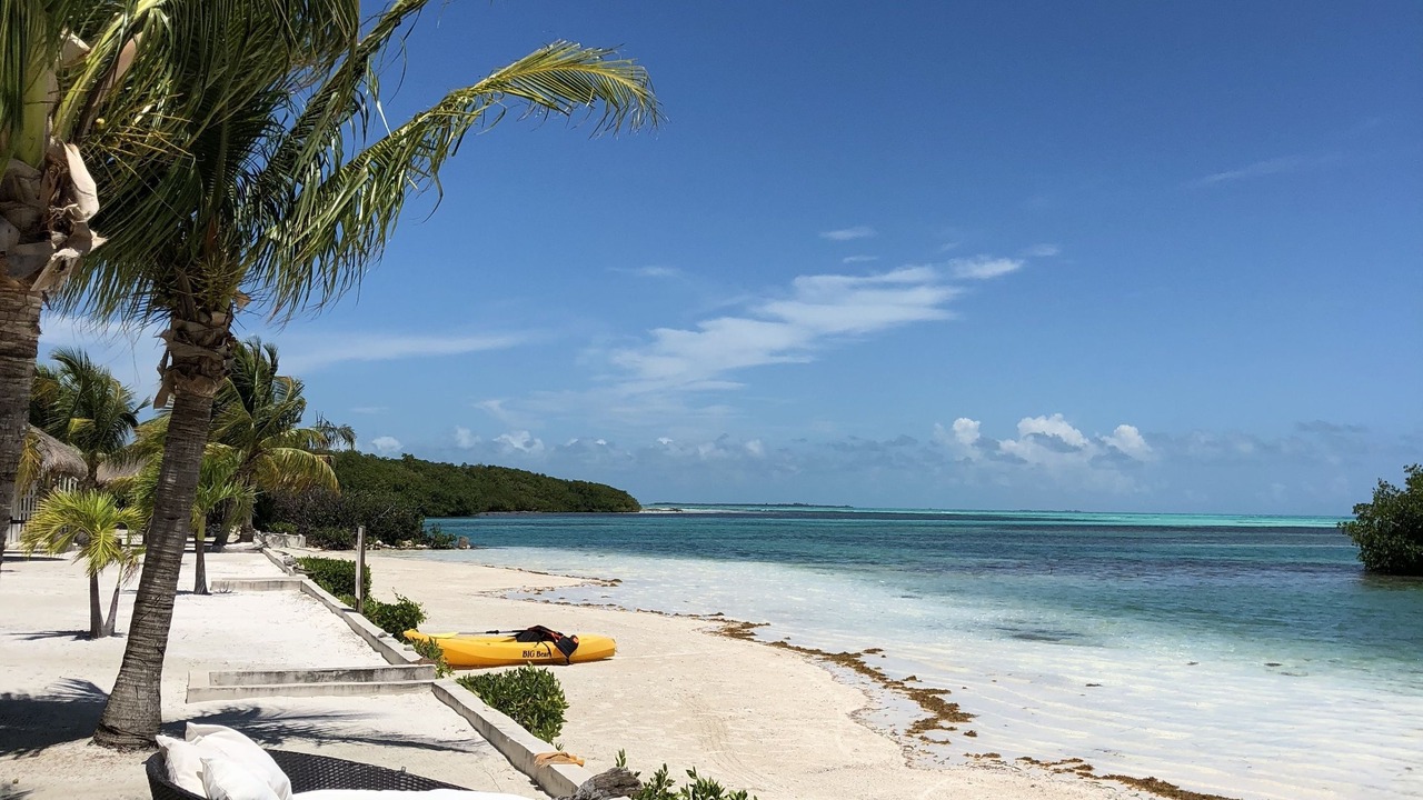 Photo of Others in Little Frenchman Caye