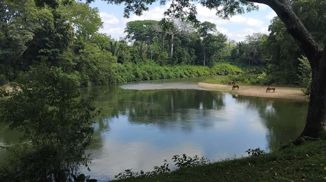 Photo of Others in Ontario Village