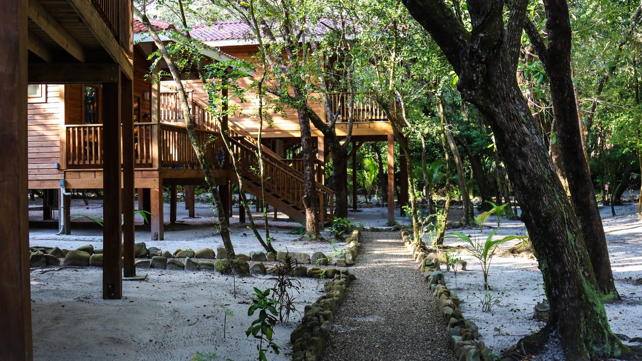 Photo of Outdoor in Placencia