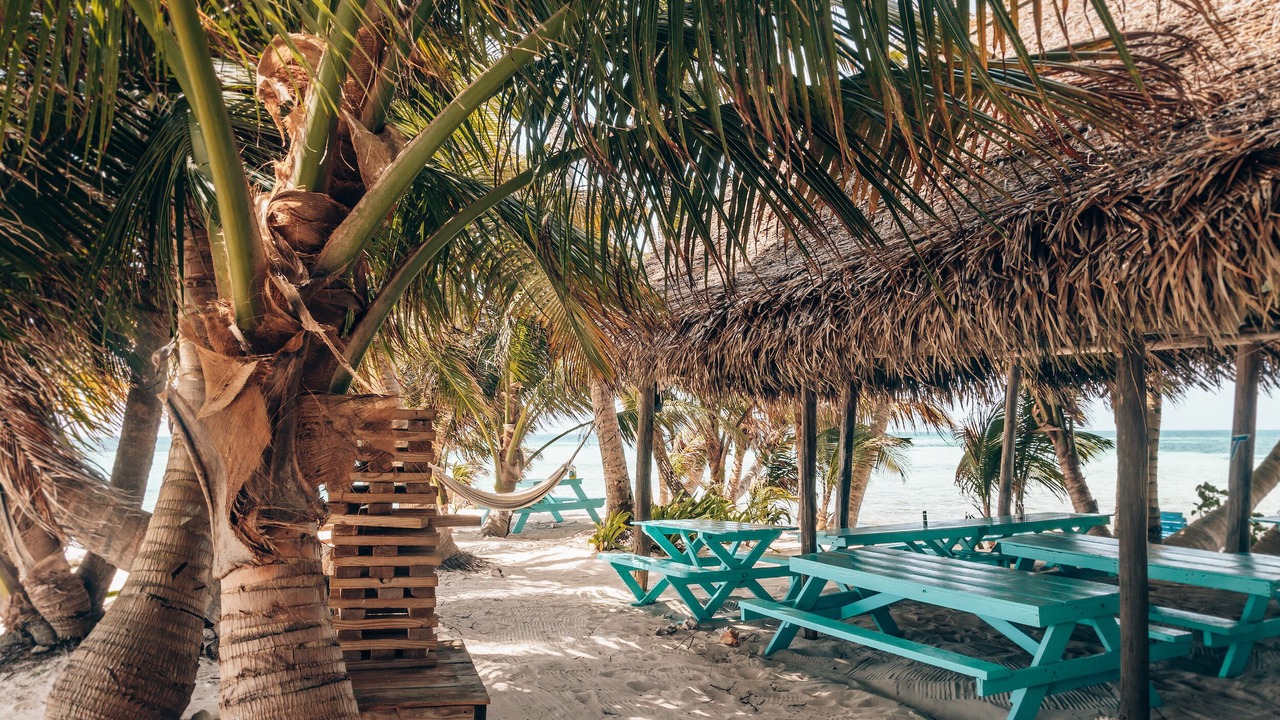 Photo of Outdoor in Placencia