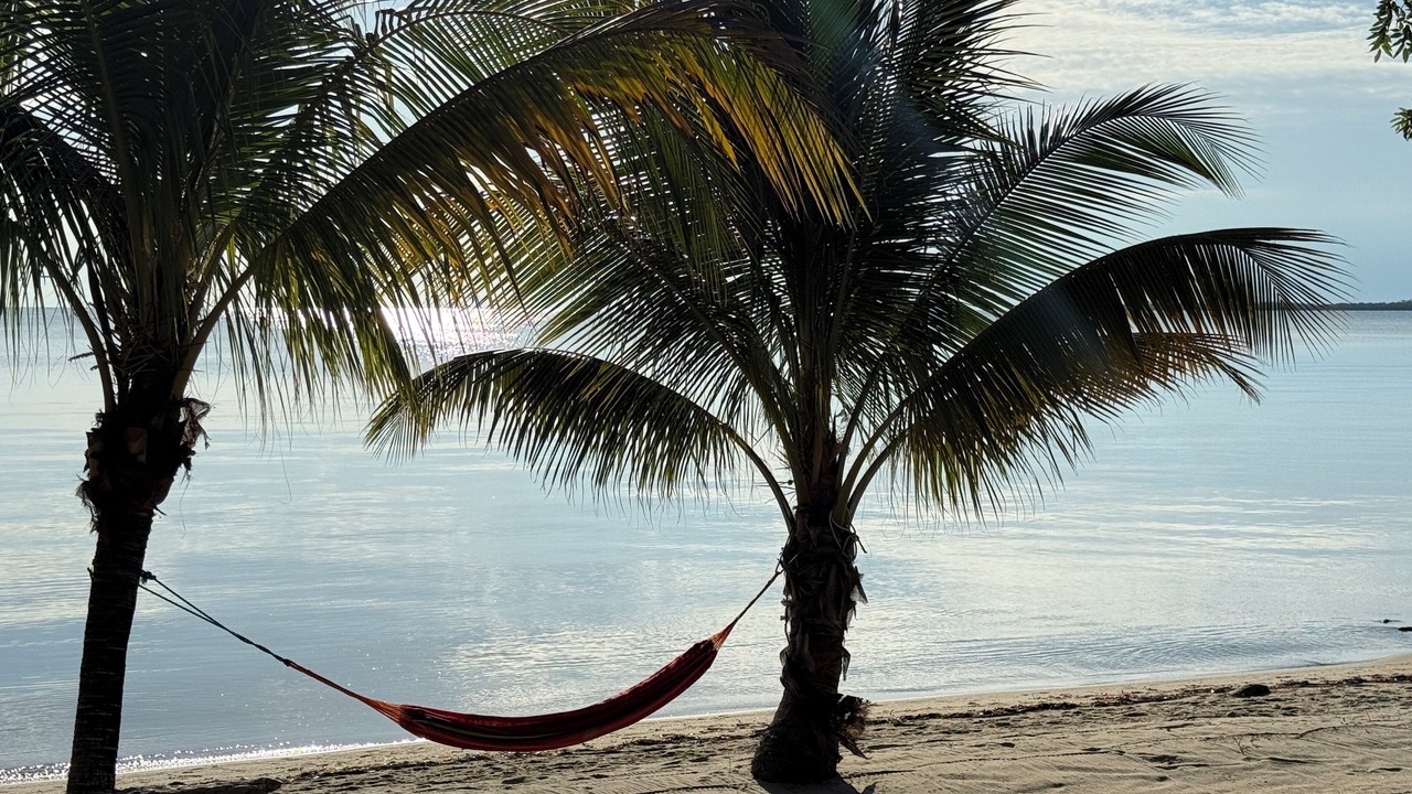 Photo of Others in Placencia