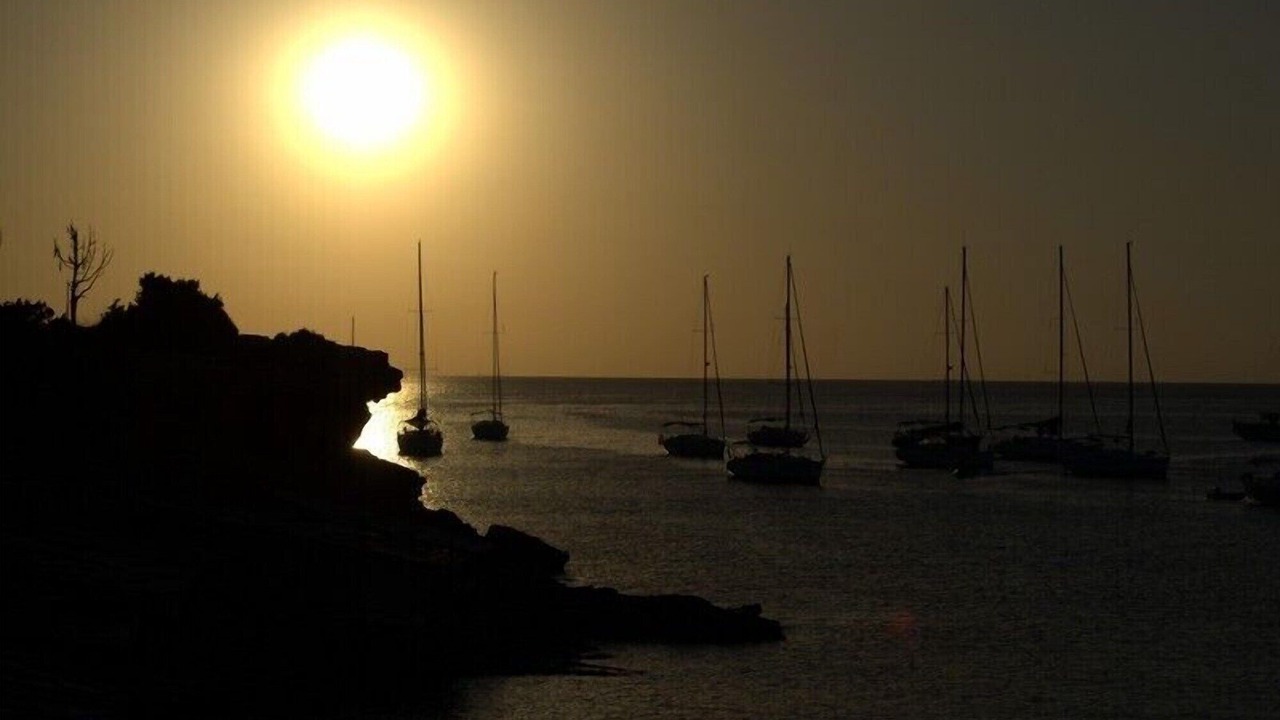 Photo of Others in Platja de l'Arenal