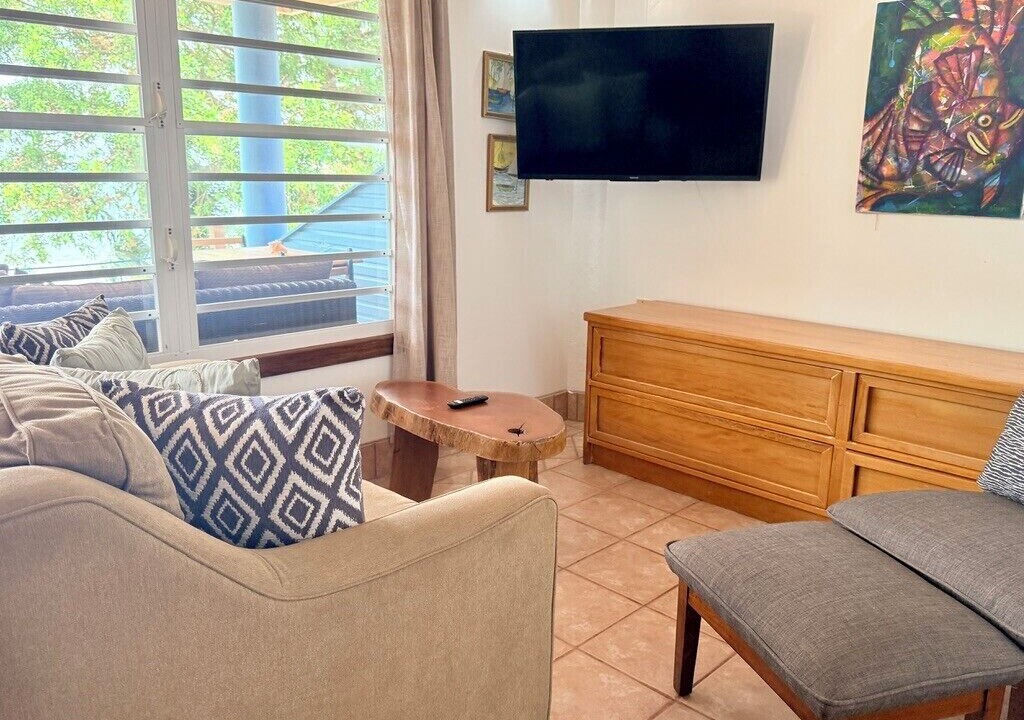 Photo of Livingroom in Placencia