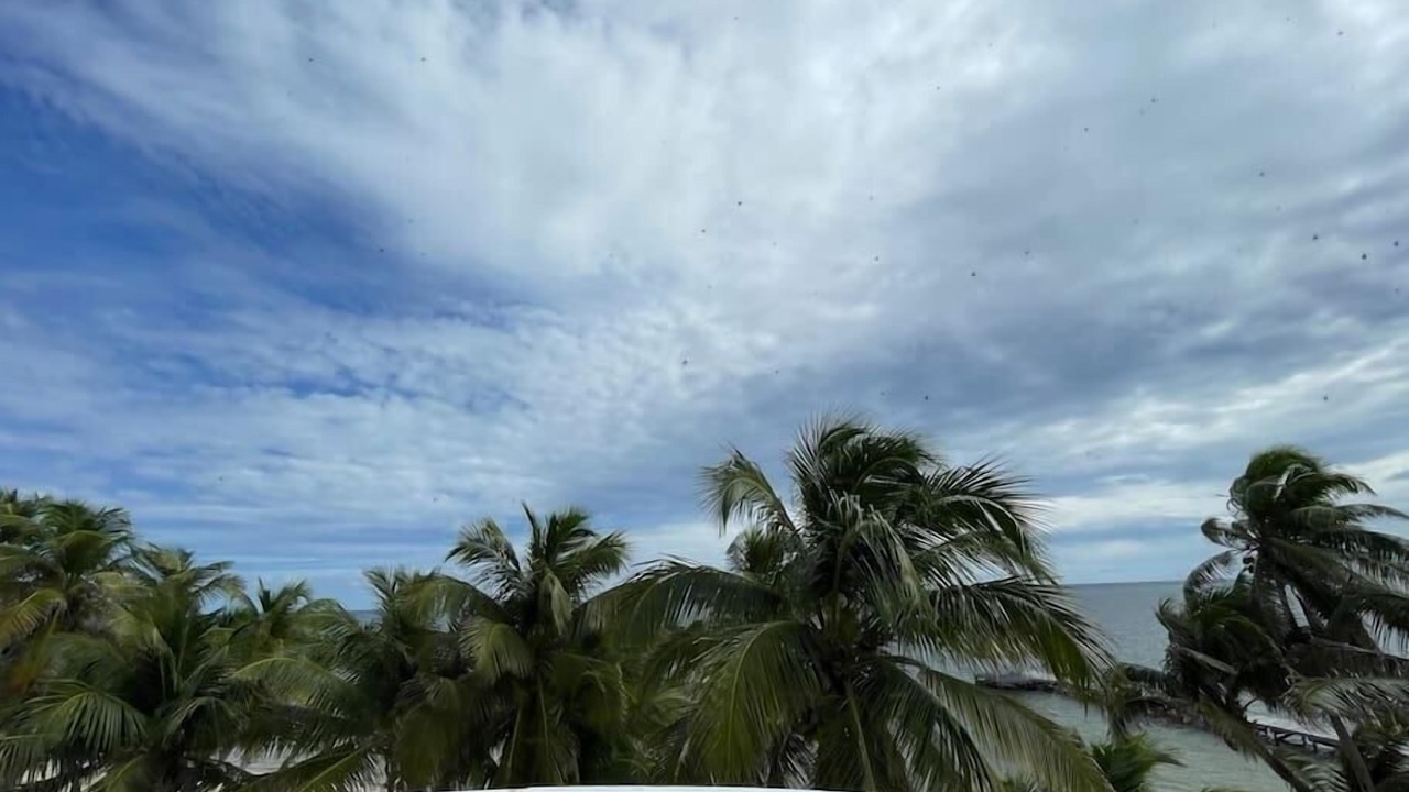 Photo of Outdoor in San Pedro
