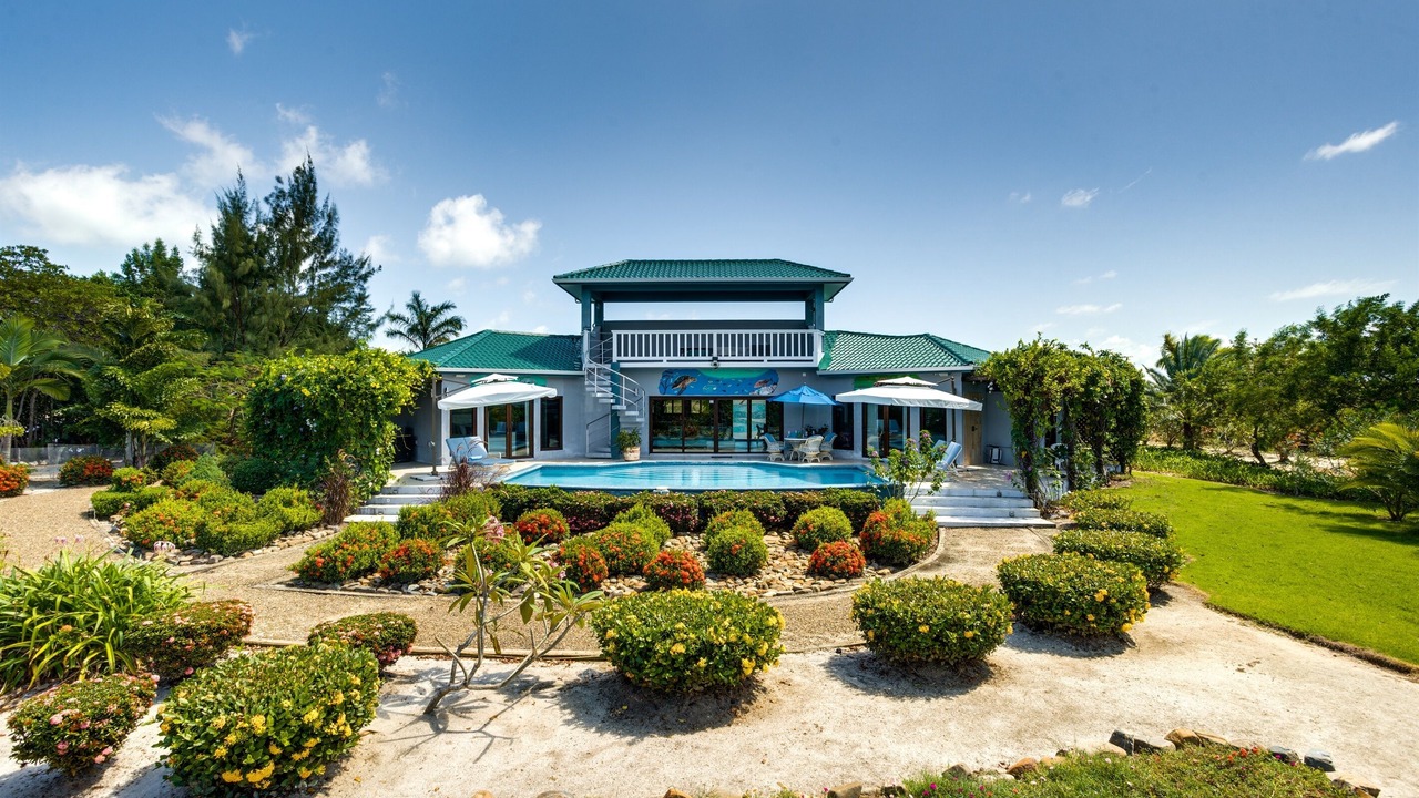 Photo of Others in Placencia