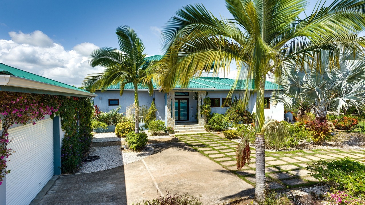 Photo of Others in Placencia