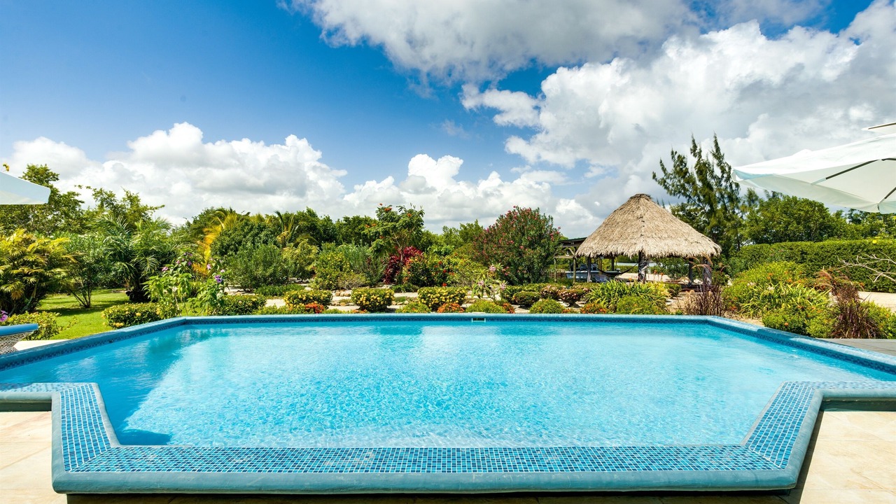 Photo of Outdoor in Placencia