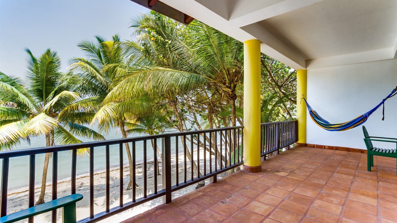 Photo of Others in Placencia