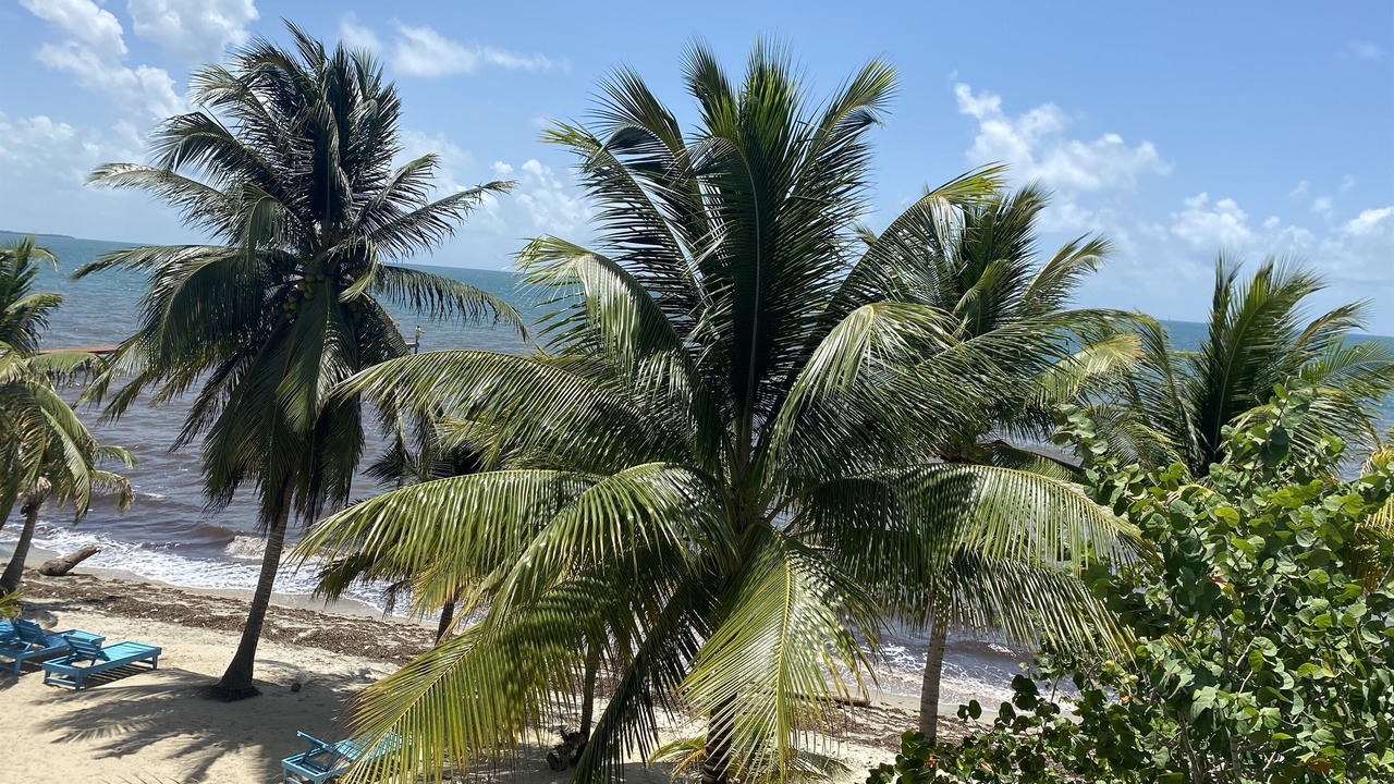 Photo of Others in Placencia