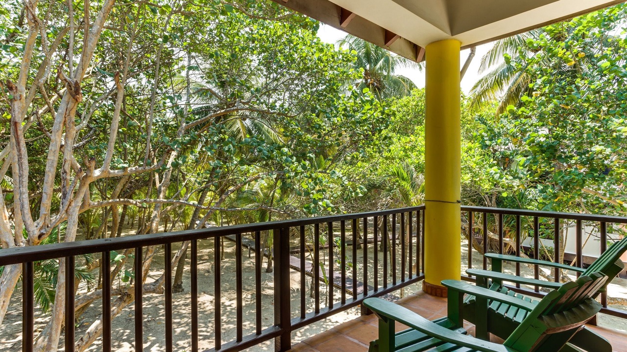 Photo of Others in Placencia