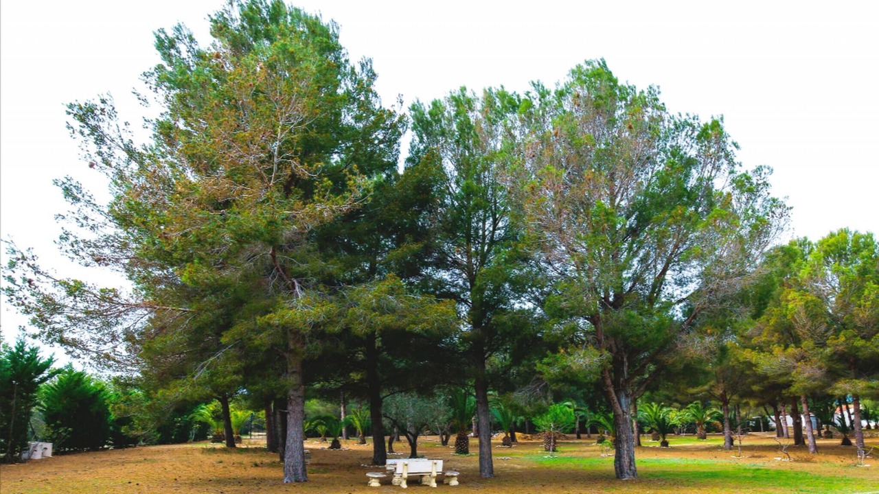 Photo of Outdoor in Rustical Balneario