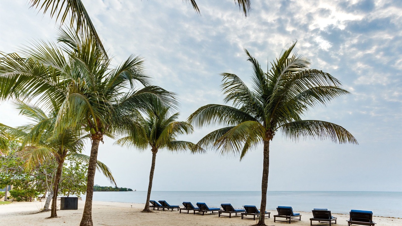 Photo of Others in Placencia