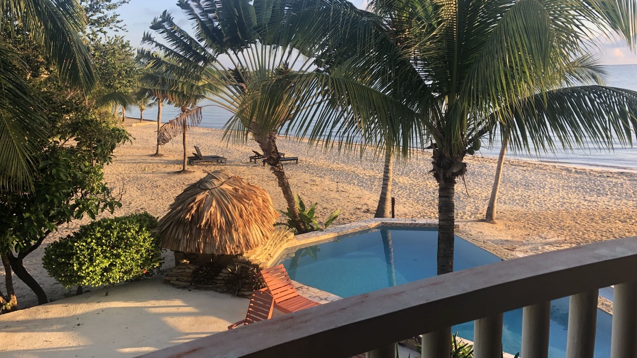 Photo of Others in Placencia