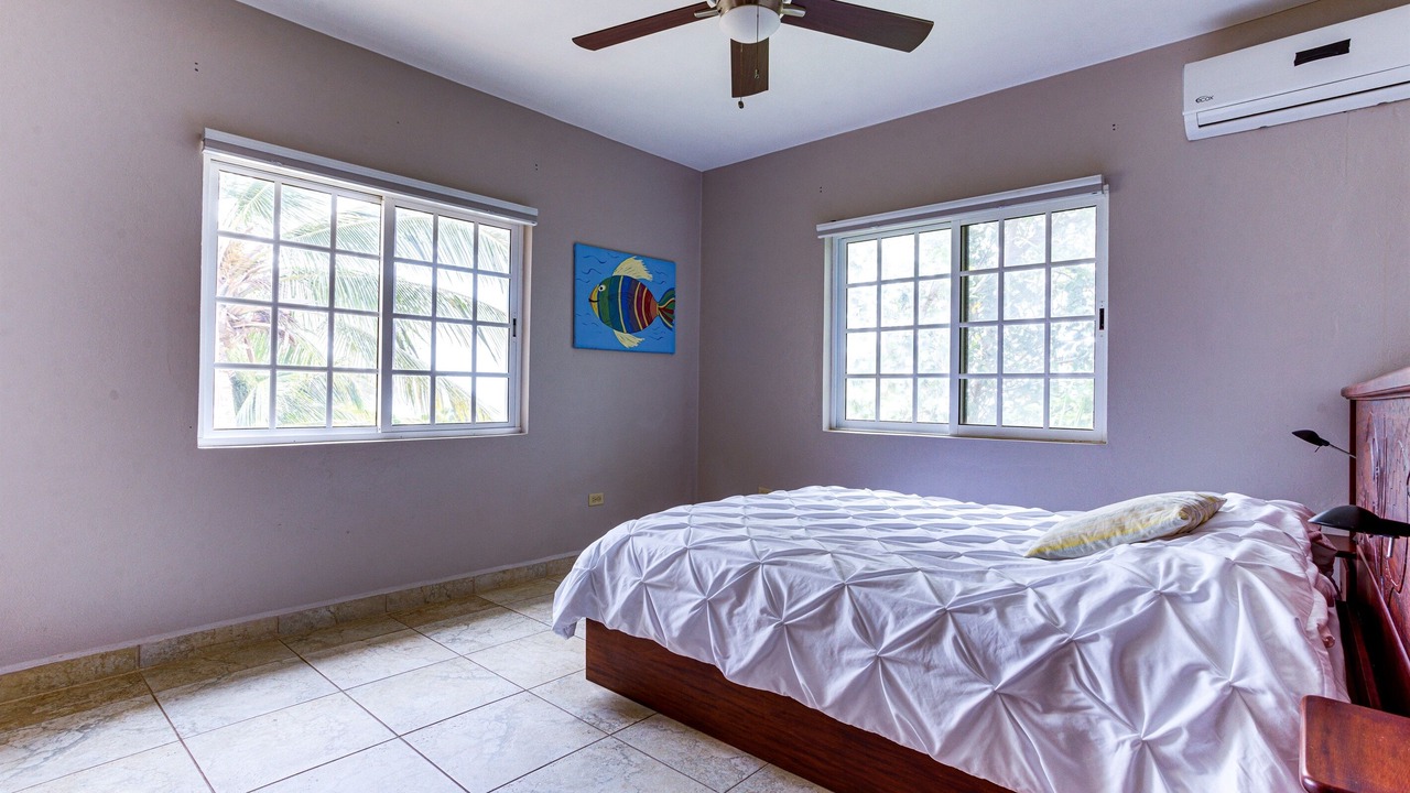 Photo of Others in Placencia