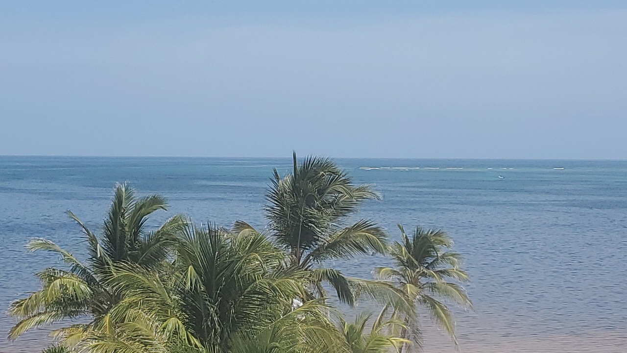 Photo of Others in San Pedro