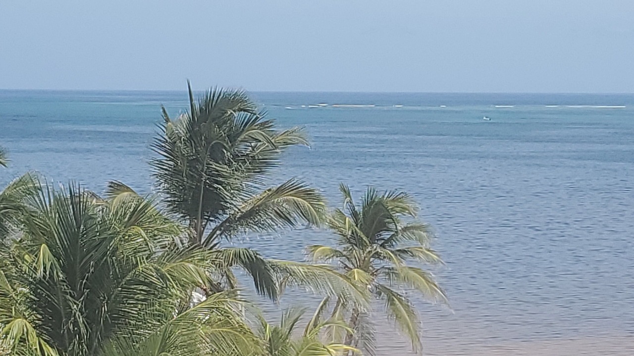 Photo of Others in San Pedro