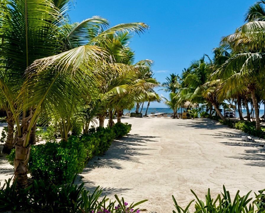 Photo of Outdoor in San Pedro