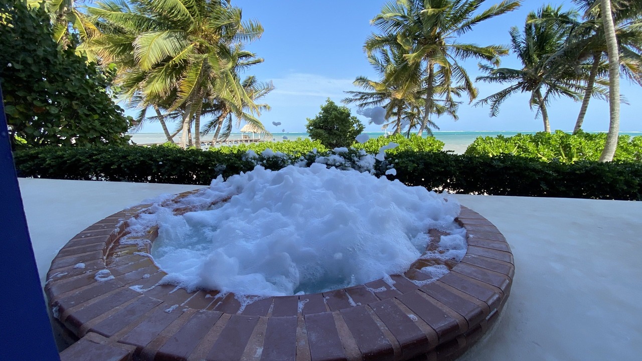 Photo of Outdoor in San Pedro