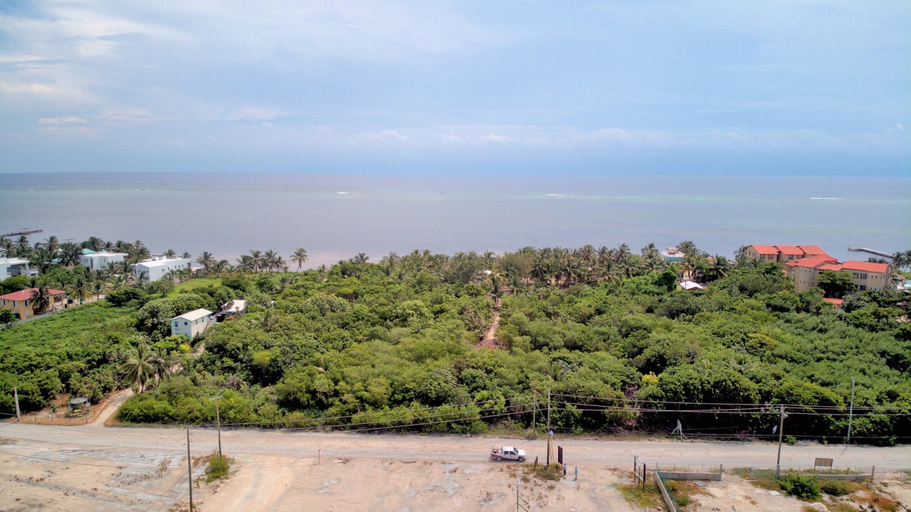 Photo of Others in San Pedro