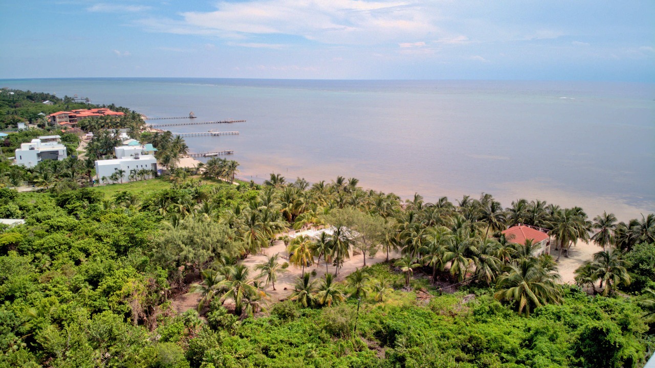Photo of Others in San Pedro