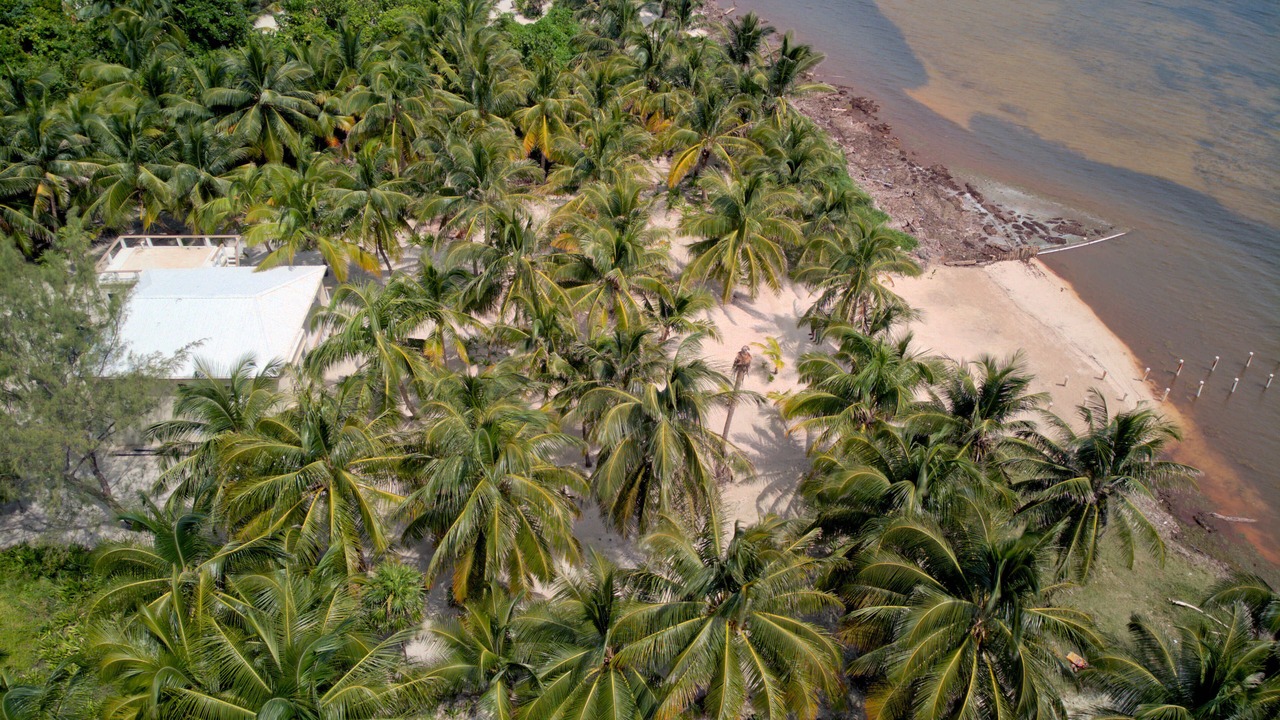 Photo of Others in San Pedro