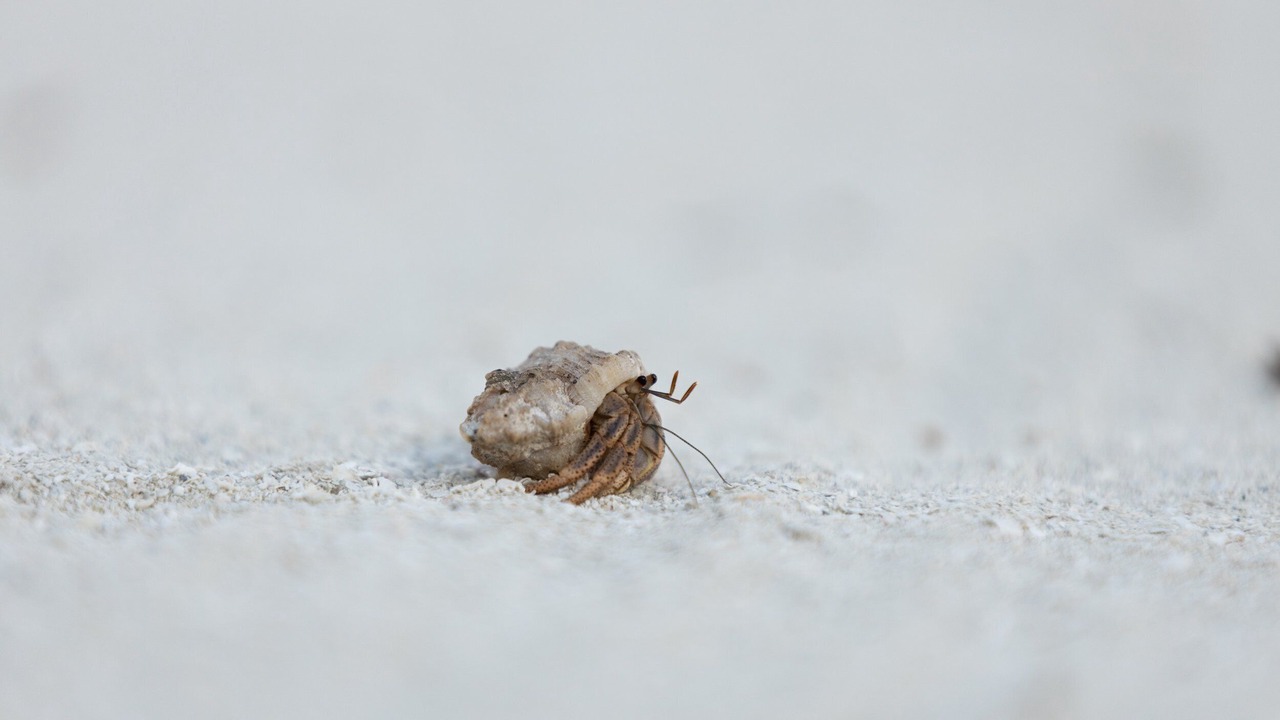 Photo of Others in San Pedro