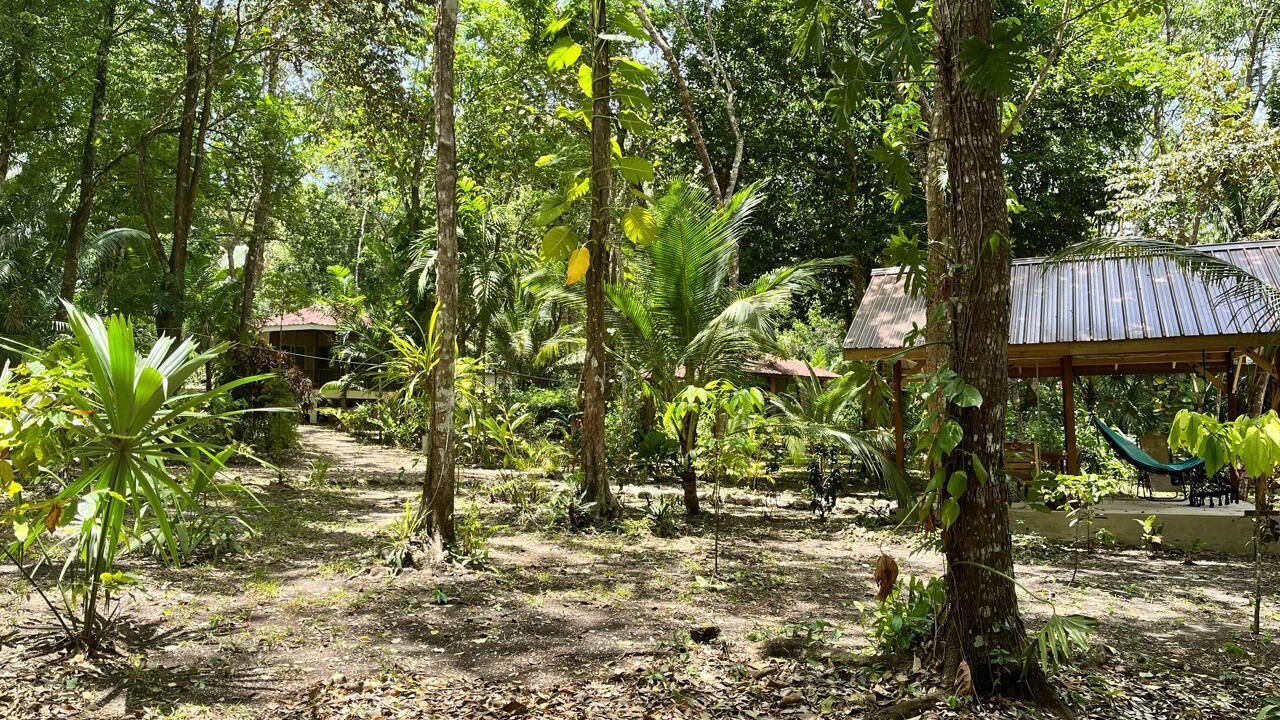 Photo of Outdoor in San Ignacio