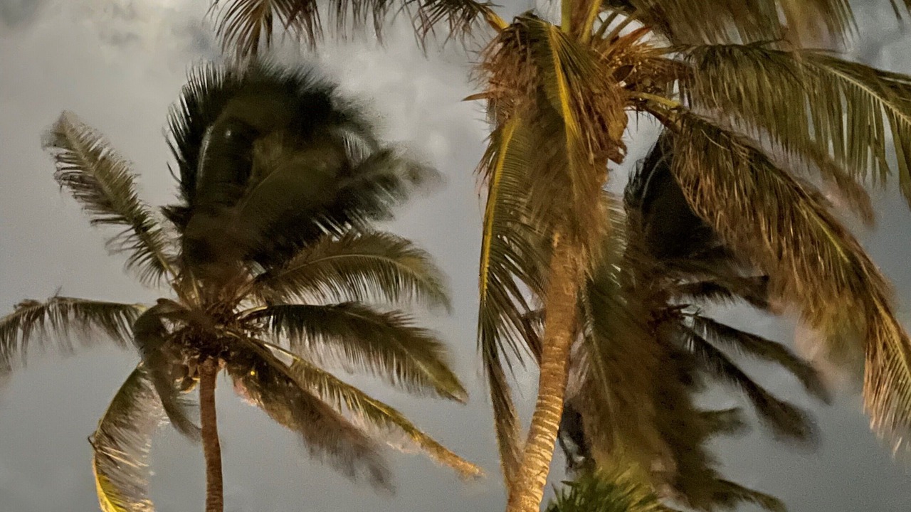 Photo of Others in San Pedro
