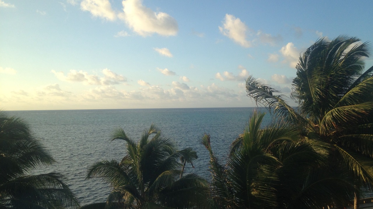 Photo of Outdoor in San Pedro