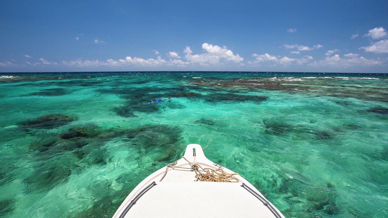 Photo of Others in St. George's Caye