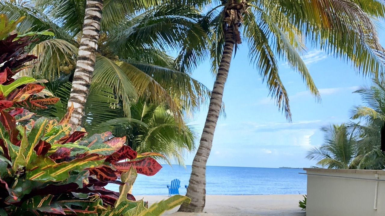 Photo of Others in Placencia