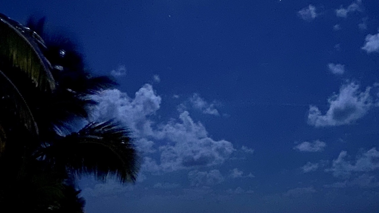 Photo of Others in Placencia