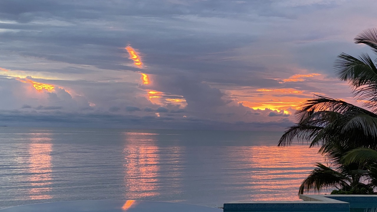 Photo of Others in Placencia