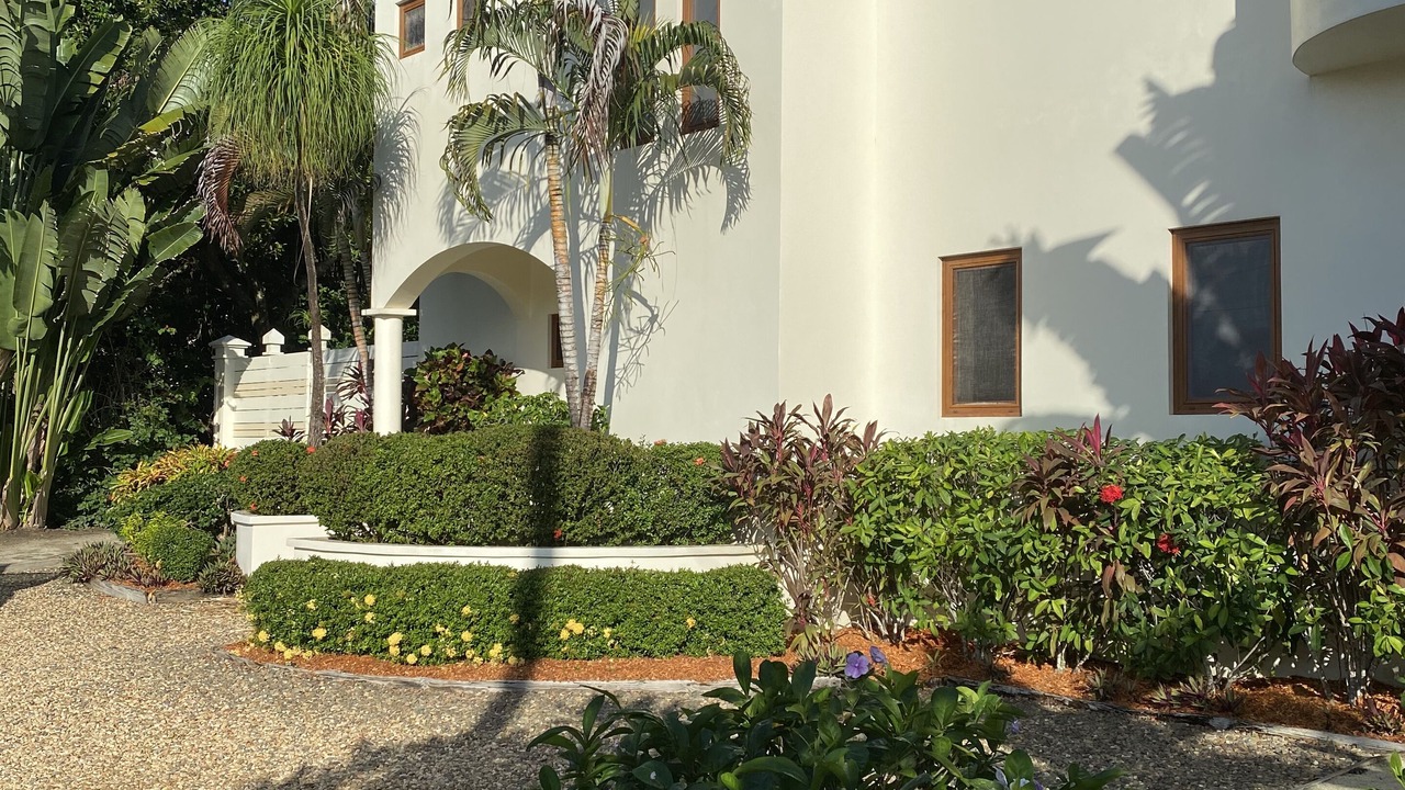 Photo of Outdoor in Placencia