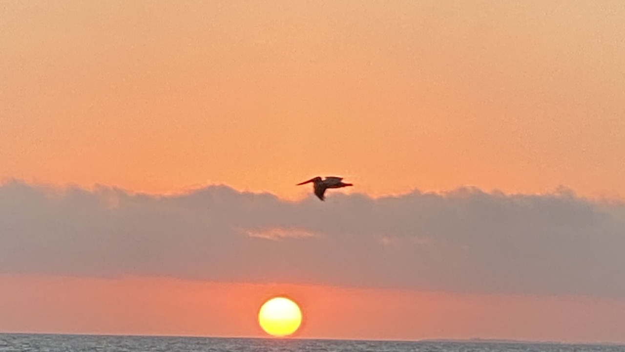 Photo of Others in Placencia