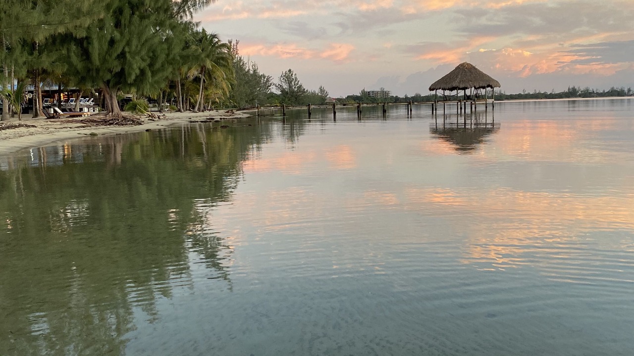 Photo of Others in Placencia