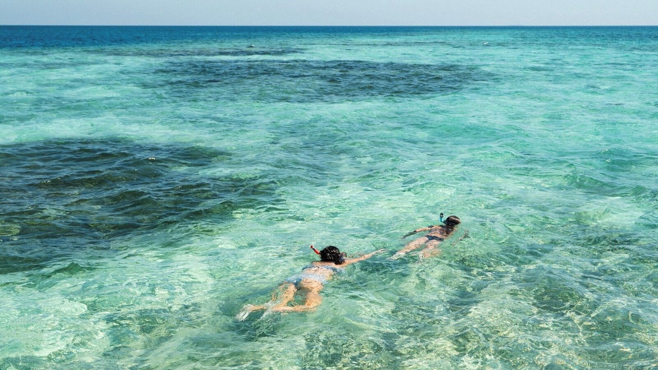 Photo of Others in Placencia