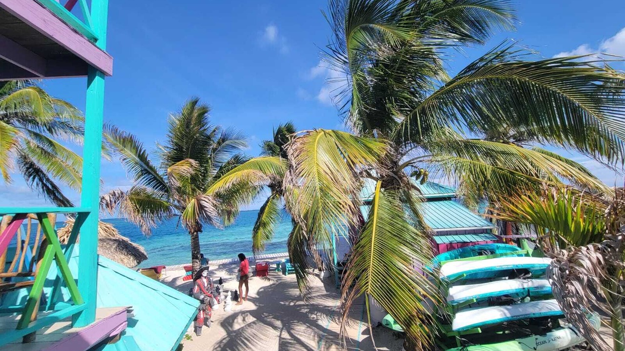 Photo of Others in Placencia