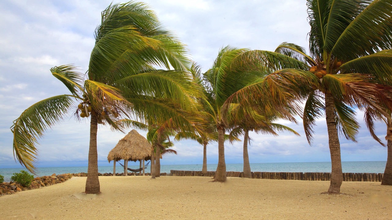 Photo of Others in Royal Belize Island