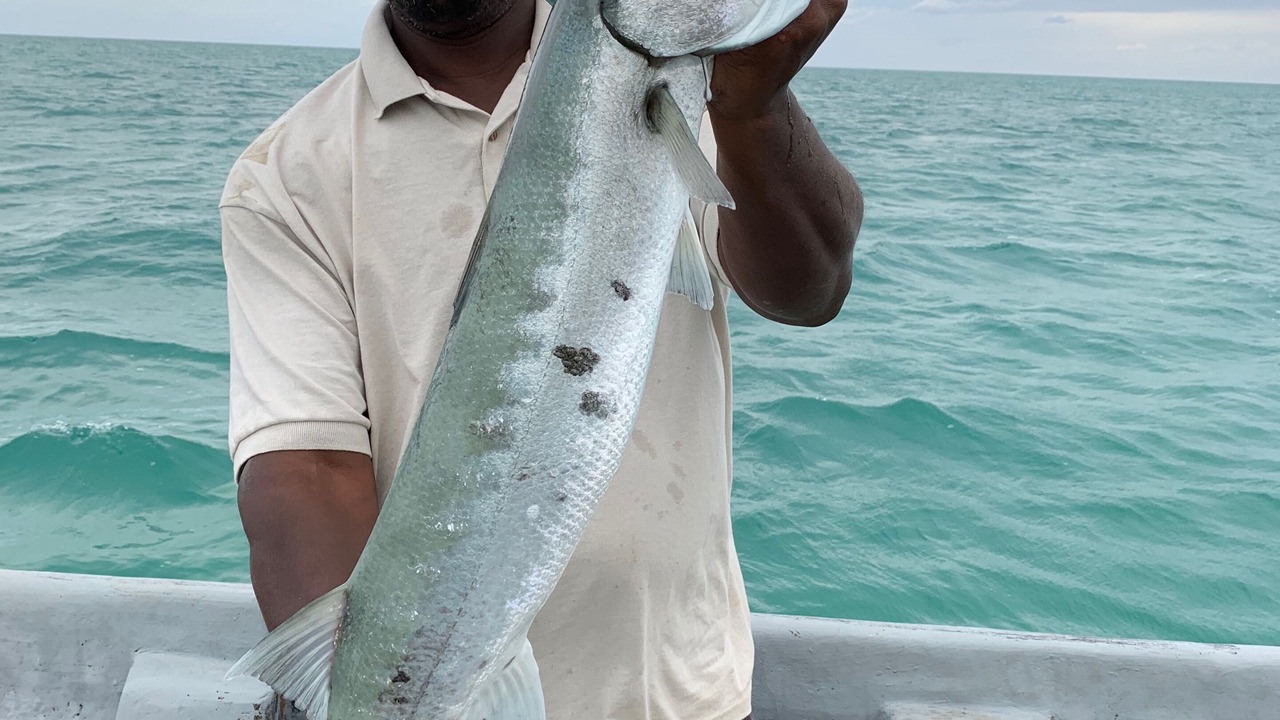 Photo of Others in Glovers Reef Atoll