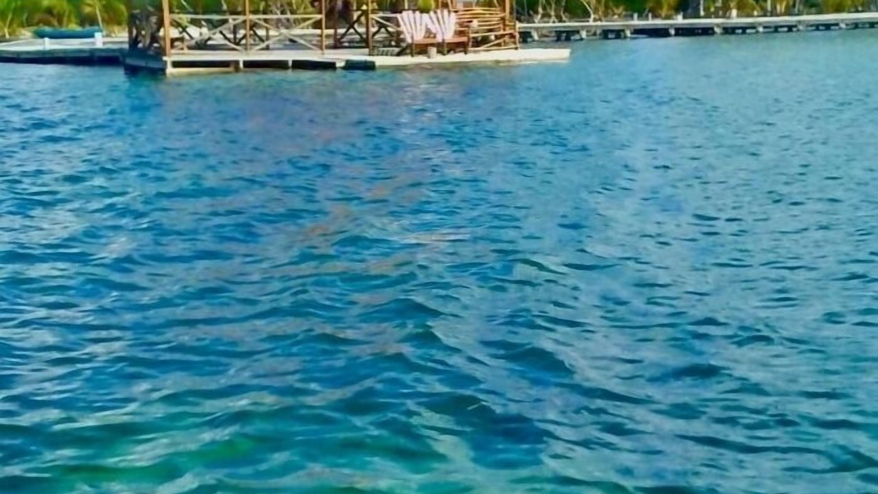 Photo of Others in Glovers Reef Atoll
