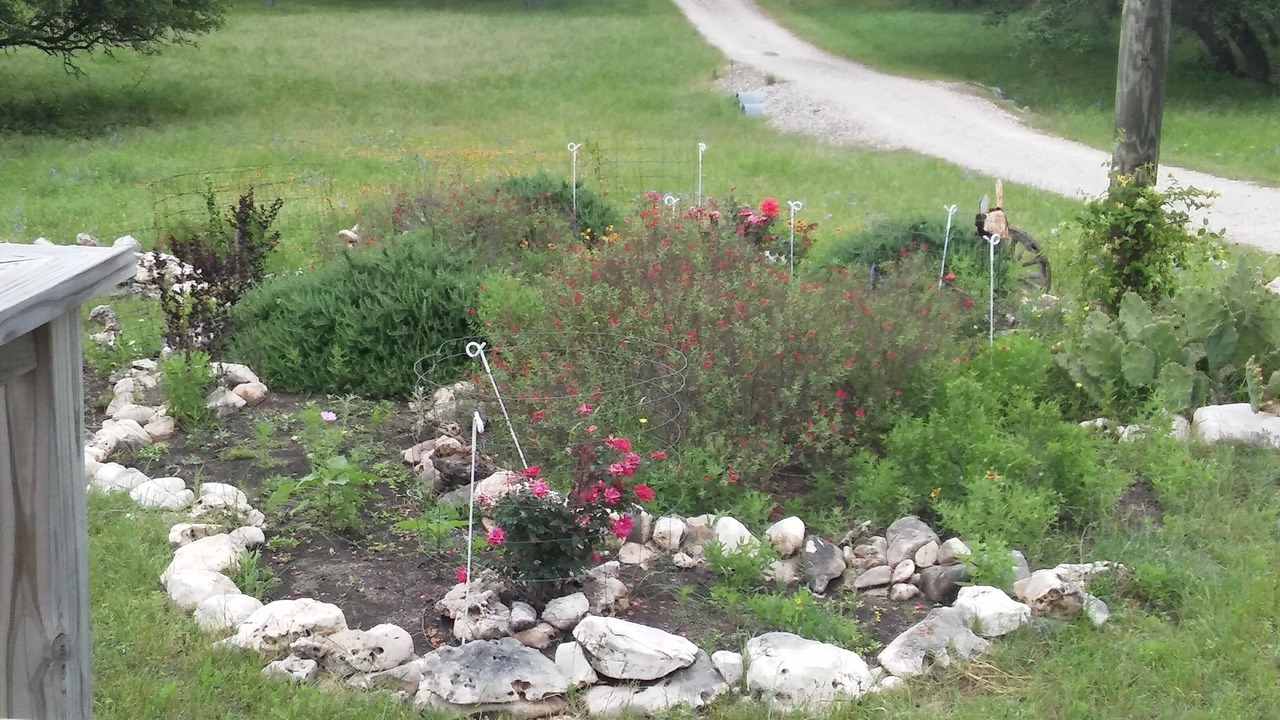 Photo of Outdoor in Harper