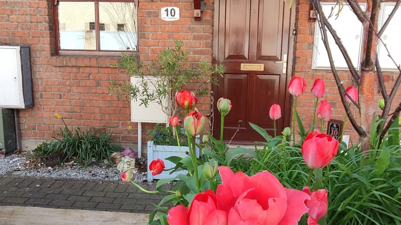 Photo of Outdoor in The Liberties