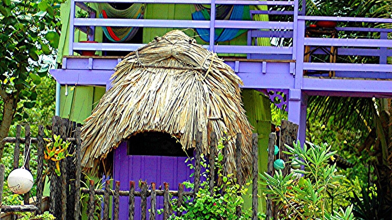 Photo of Outdoor in Placencia