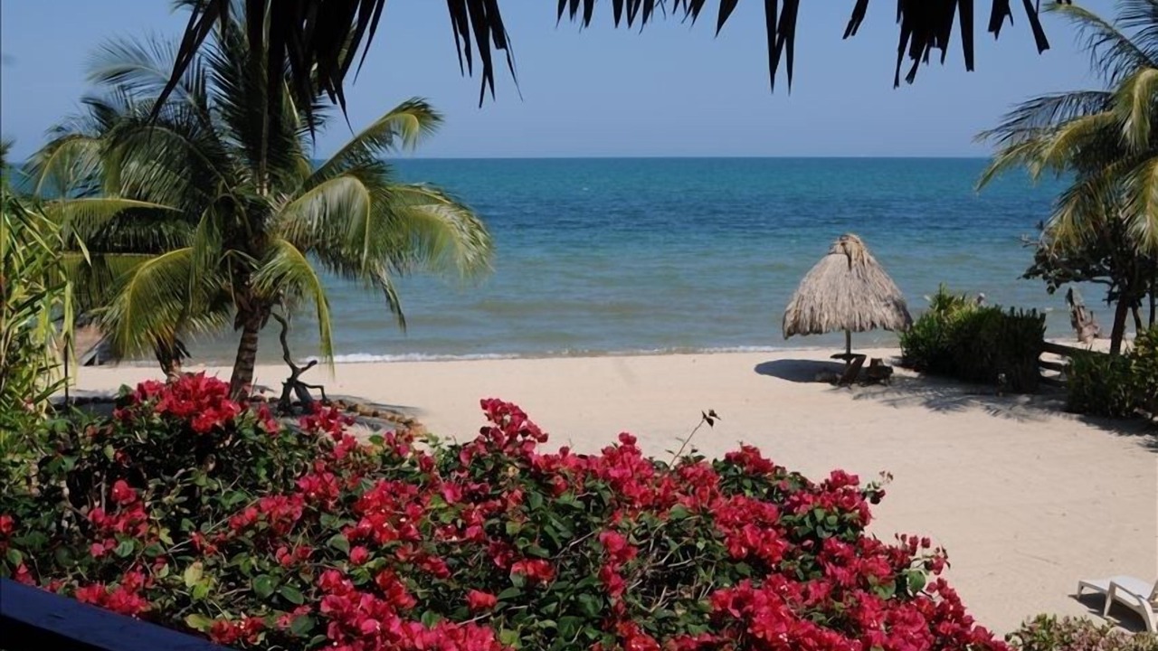 Photo of Patio Balcony in Placencia